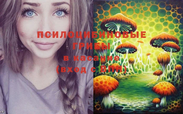spice Медвежьегорск