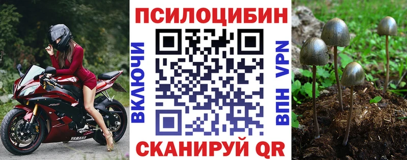Галлюциногенные грибы Magic Shrooms  Северск 